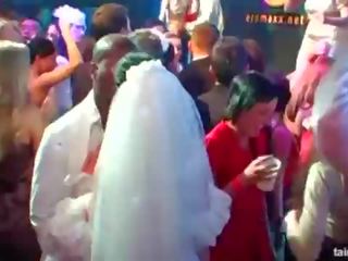 Vroče oversexed brides sesati velika pipe v javno